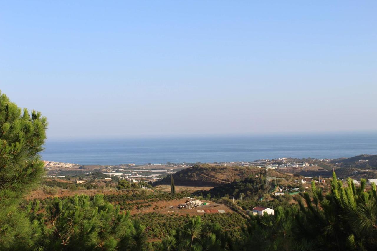 Finca La Vida Tranquila Velez Malaga Zewnętrze zdjęcie