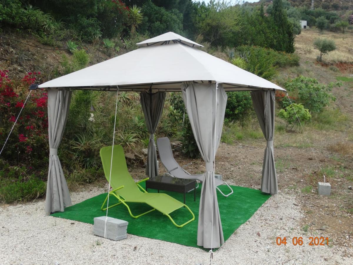 Finca La Vida Tranquila Velez Malaga Zewnętrze zdjęcie